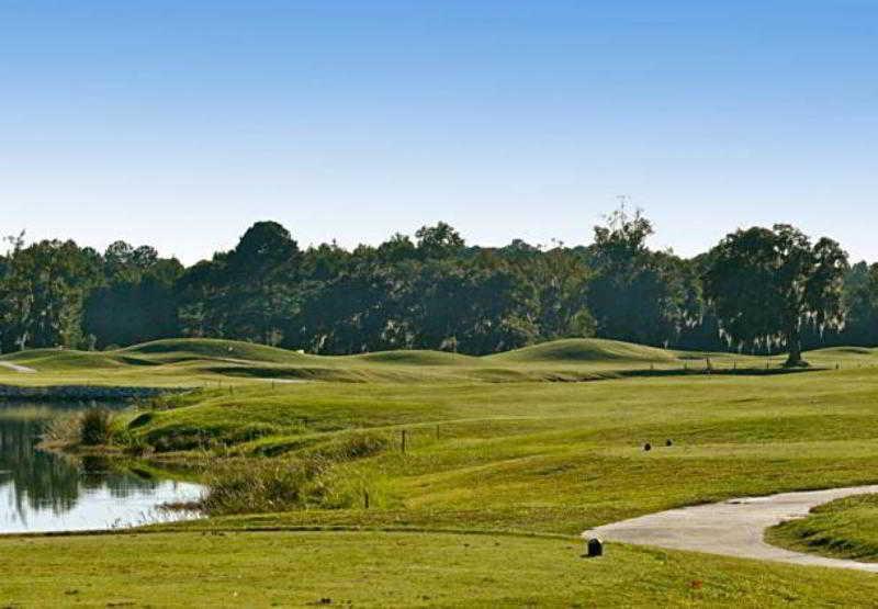 Springhill Suites By Marriott Savannah I-95 South Georgetown Eksteriør bilde
