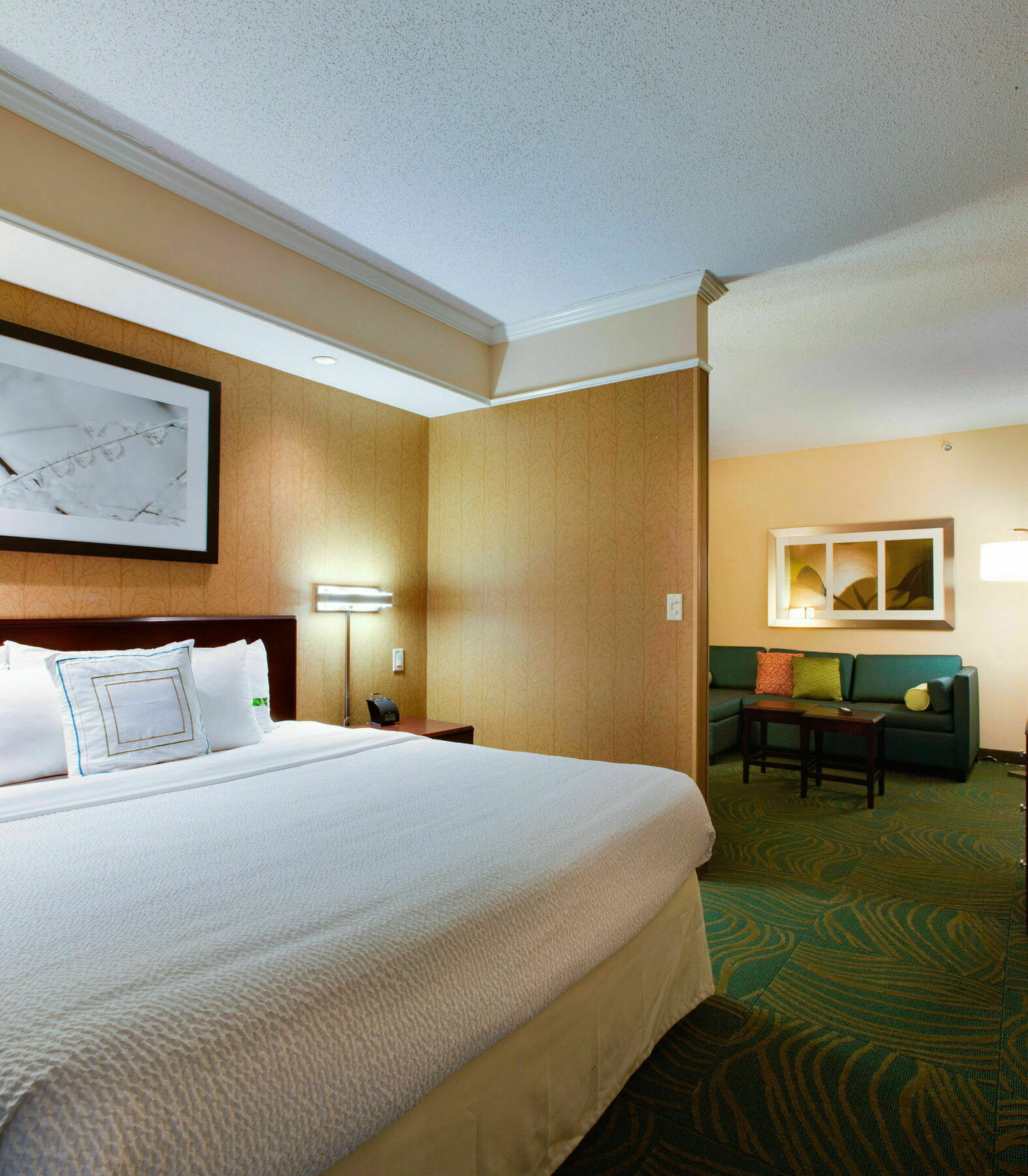 Springhill Suites By Marriott Savannah I-95 South Georgetown Eksteriør bilde